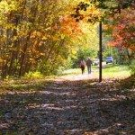 People walking on a trail in the woods