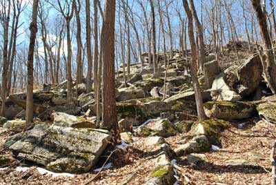 Connors Farm Conservation Area - Photo by Mike Korba