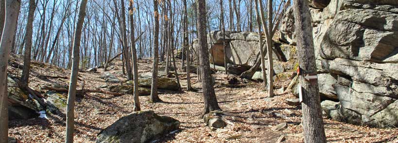 Connors Farm Conservation Area - Photo by Mike Korba