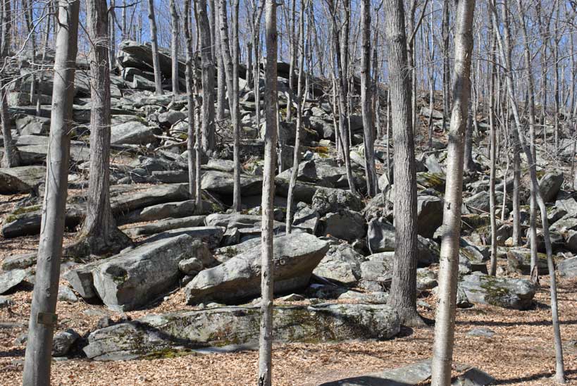 Connors Farm Conservation Area - Photo by Mike Korba