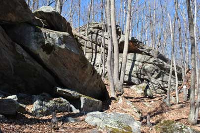 Connors Farm Conservation Area - Photo by Mike Korba