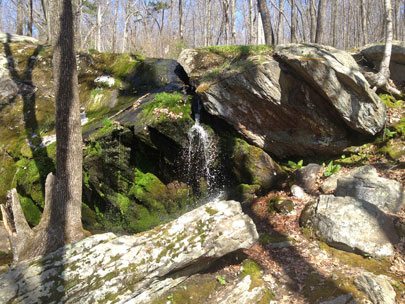 Ken Weber Conservation Area Waterfall. Photo by Richard Mello